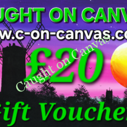 Gift Voucher - £20
