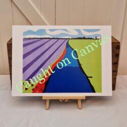 Sunset and Colourful Fields (2).