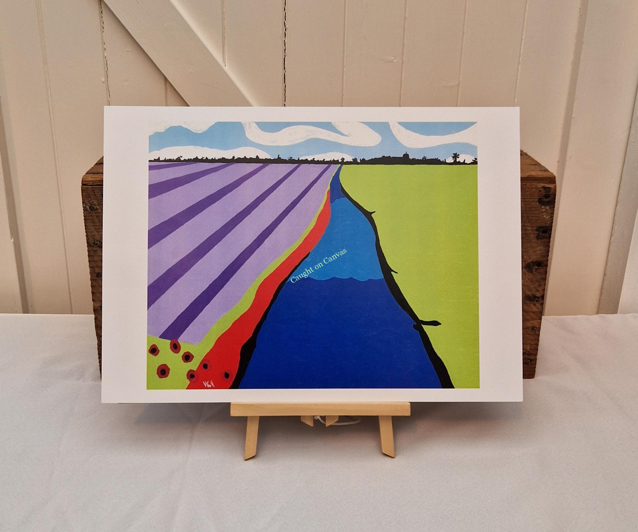 Sunset and Colourful Fields (2).