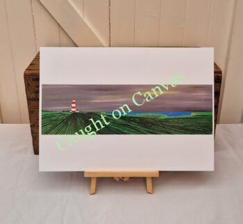 New crop in open fields. - Image 2