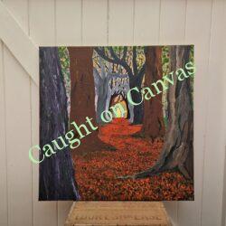 Autumnal Woodland Walk