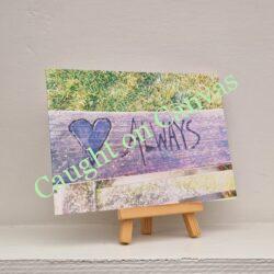 ''Love Always''