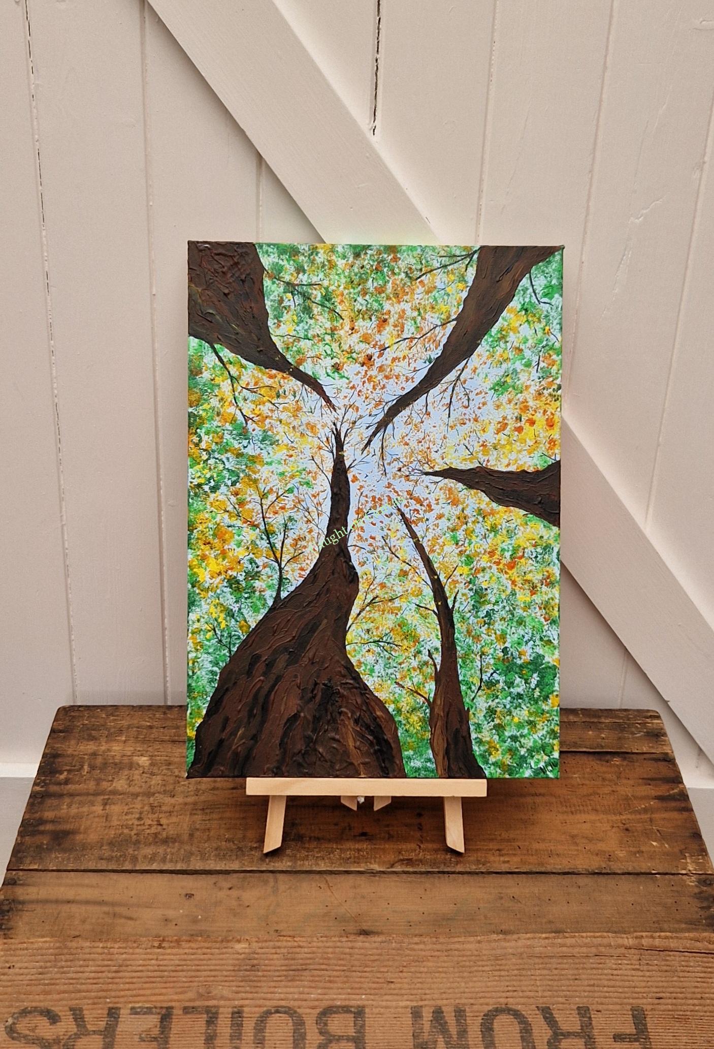 Look up to the heavens.