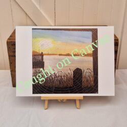 Potter Heigham Cobweb Sunrise