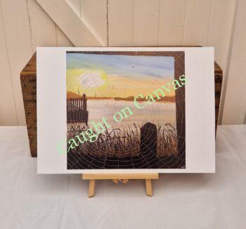 Potter Heigham Cobweb Sunrise