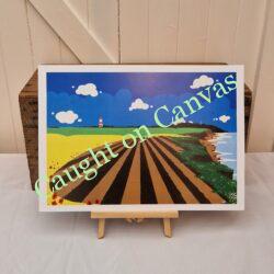 Happisburgh Summer Fields