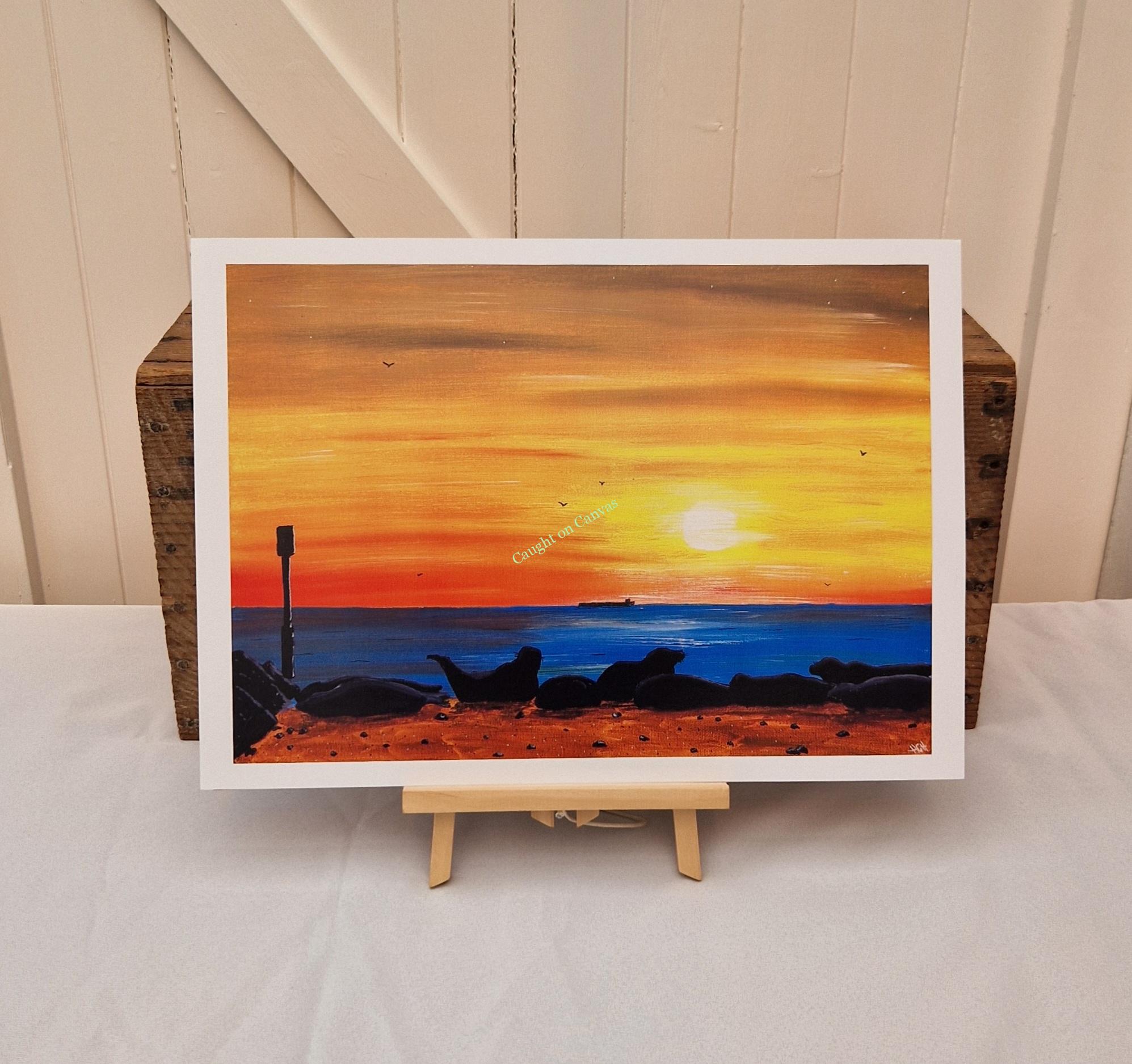 Horsey Seal Sunrise. Norfolk Coast.