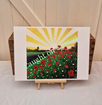 Poppy Sunrise