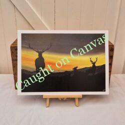 Deer Family Scottish Sunset.