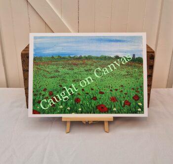 Norfolk Fields (2)