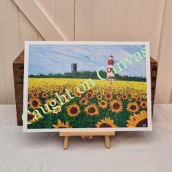 Sunny Field Days, Happisburgh