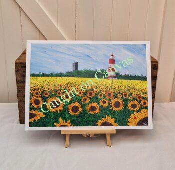 Sunny Field Days, Happisburgh