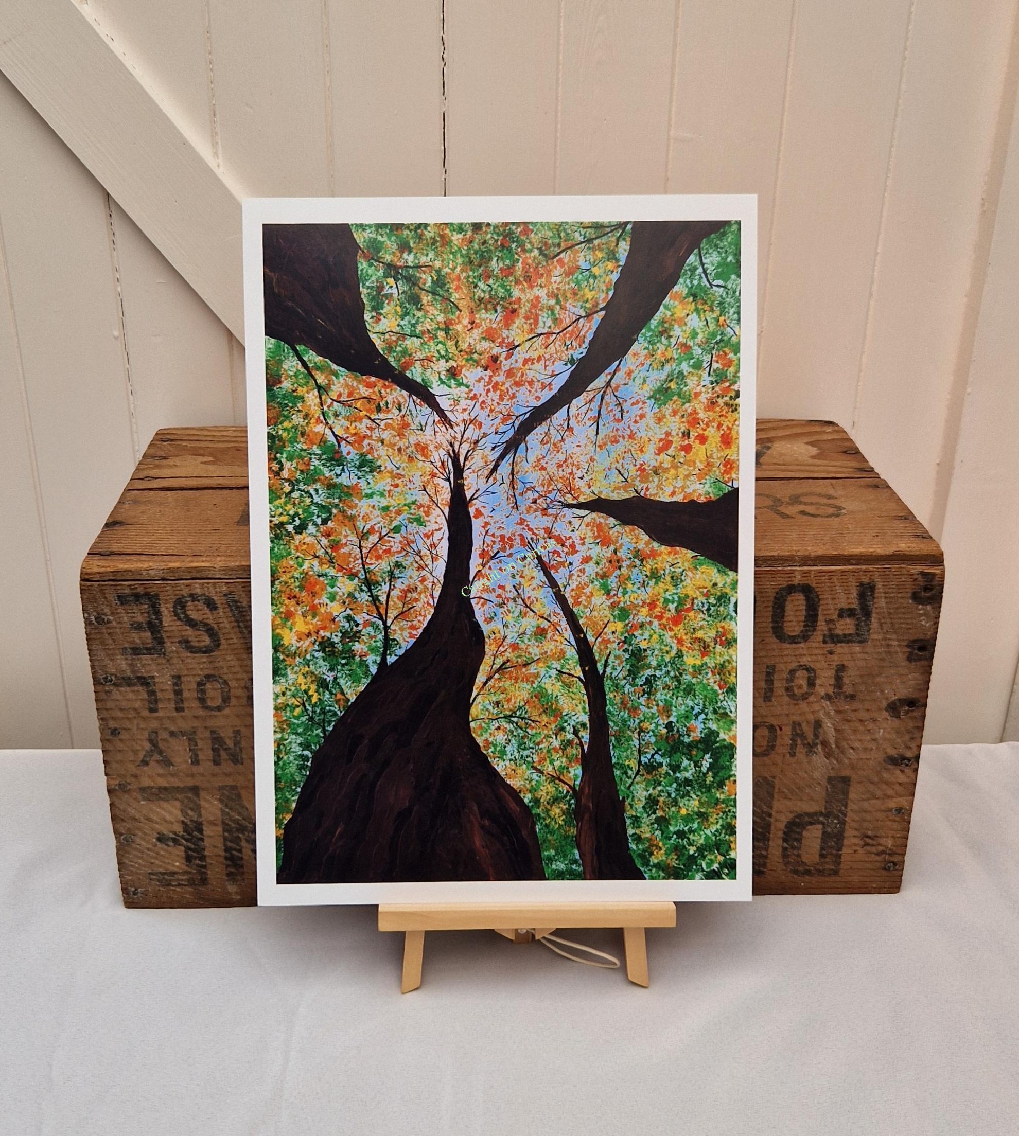 Look up to the heavens. - Image 2