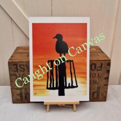 Cart Gap Sunrise Gull