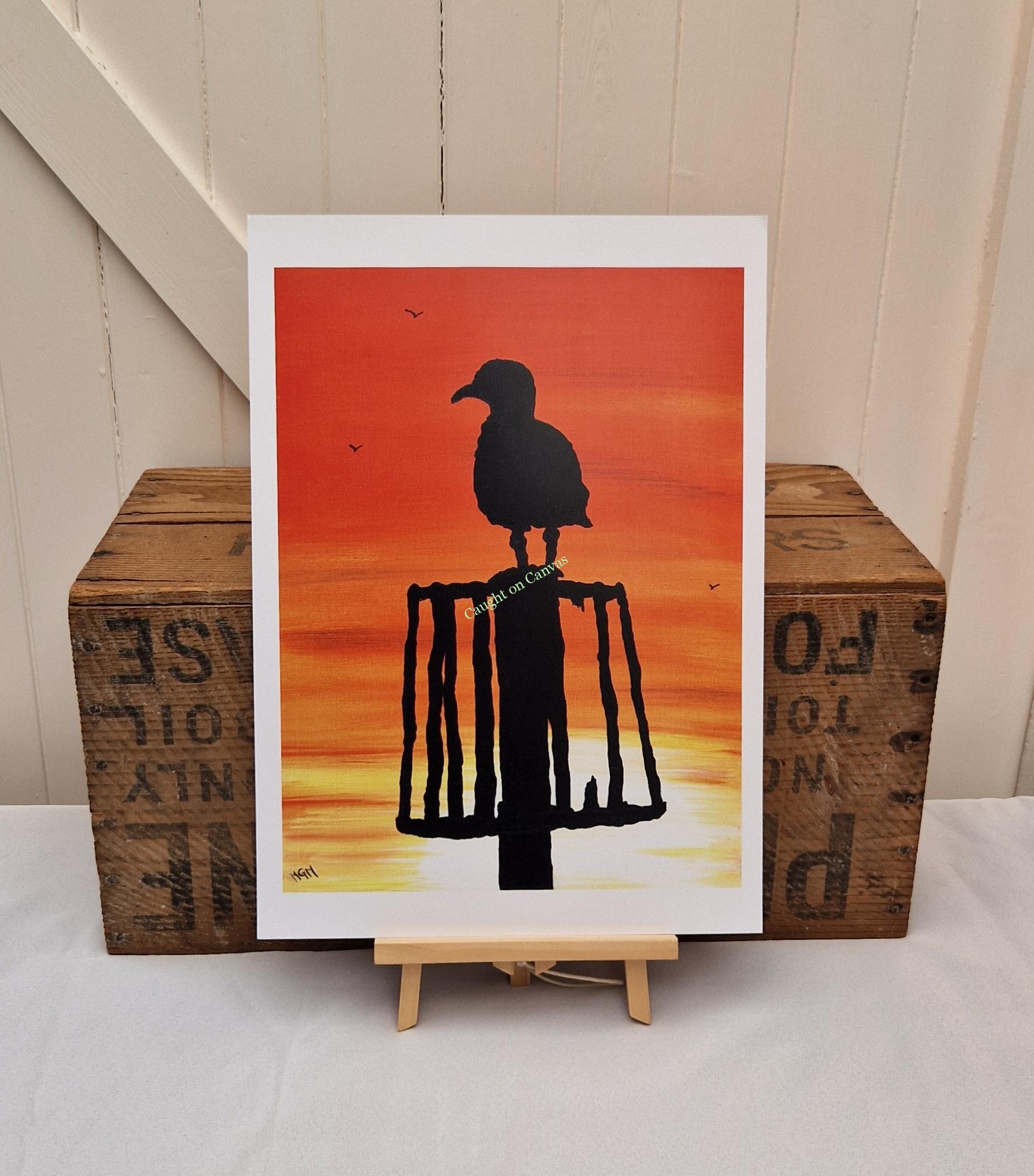 Cart Gap Sunrise Gull