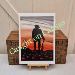 Remembrance Poppies