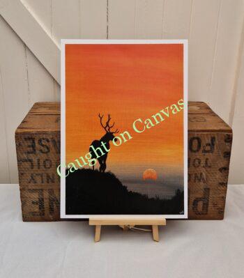 Lone Stag Sunrise