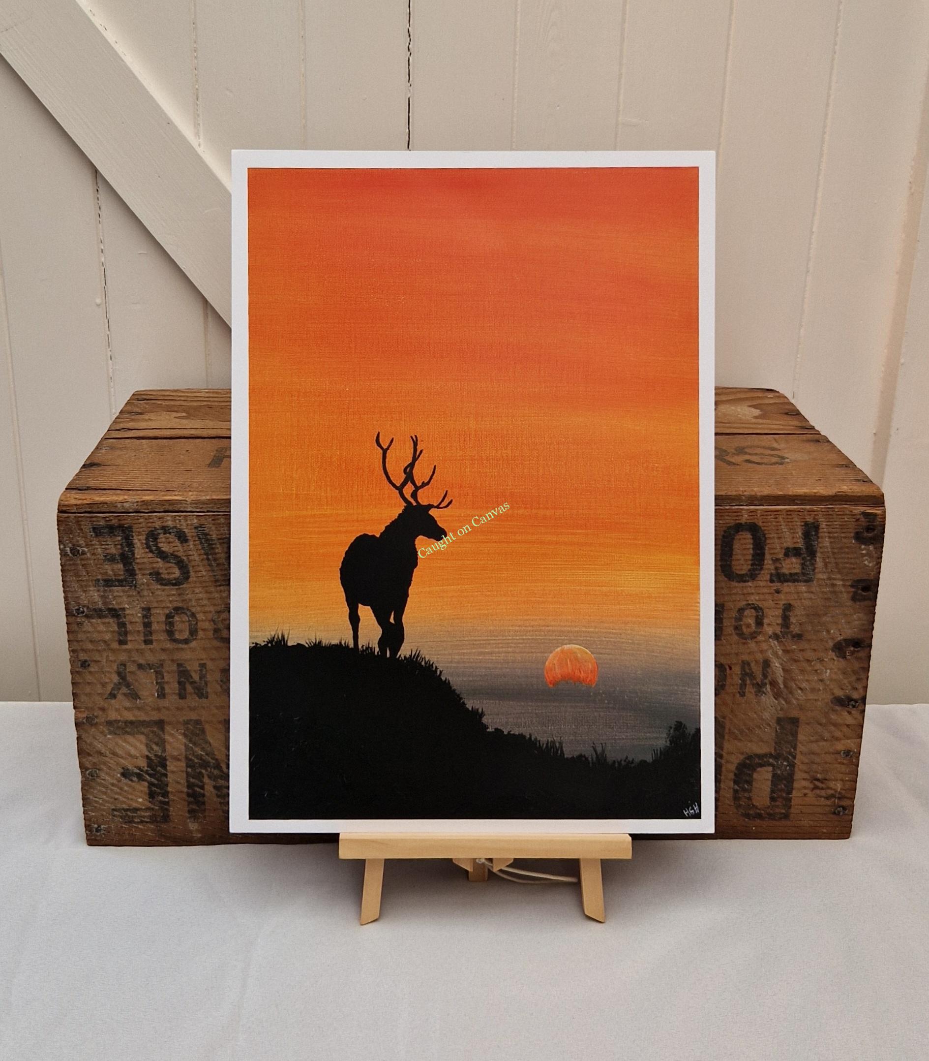 Lone Stag Sunrise