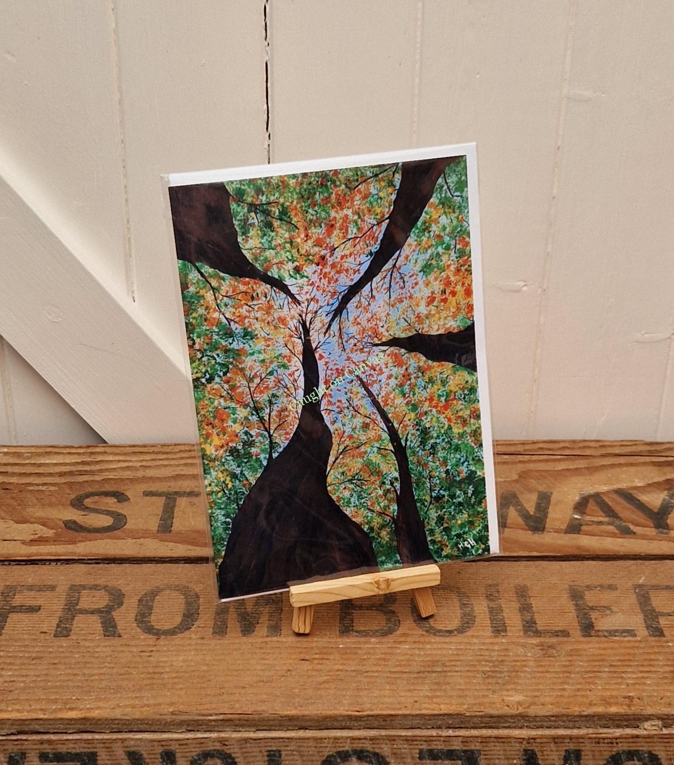 Look up to the heavens. - Image 3