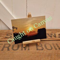 Hickling Back Lane. Norfolk Broads.