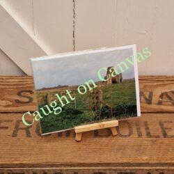 St. Benet's Abbey View.
