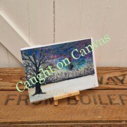 Norwich Cathedral in Winter Weather.