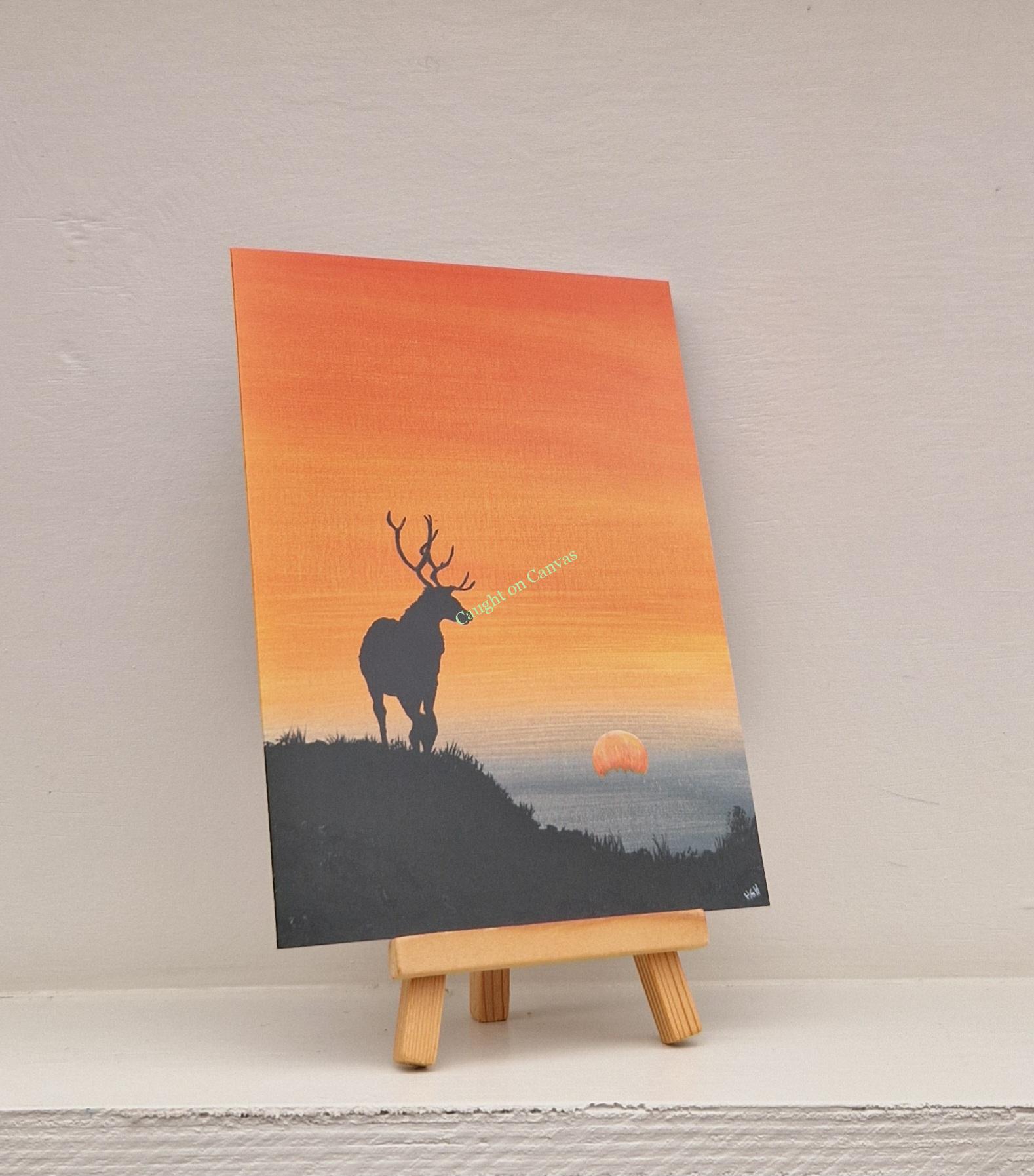 Lone Stag Sunrise - Image 3